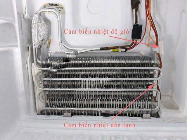 Sensor tủ lạnh có 2 loại