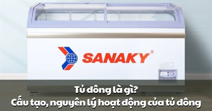 Tủ đông là gì? Cấu tạo, nguyên lý hoạt động của tủ đông
