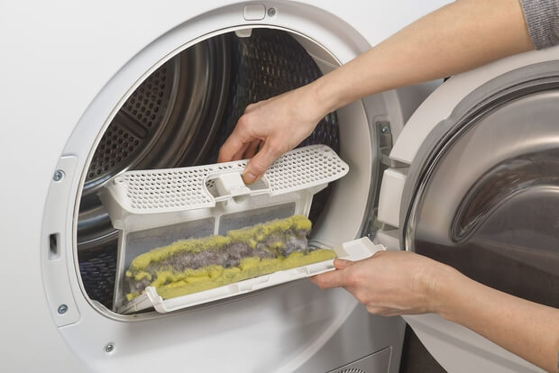 Nấm mốc phát triển khiến máy sấy quần áo bị hôi
