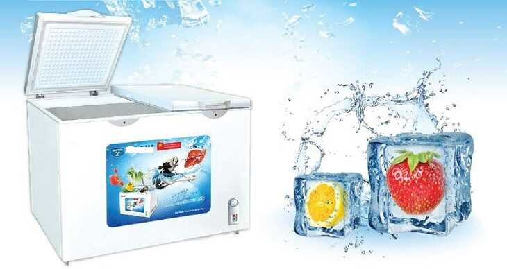 Tủ đông Non Inverter