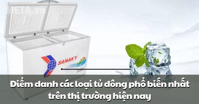 Điểm danh các loại tủ đông phổ biến nhất trên thị trường hiện nay