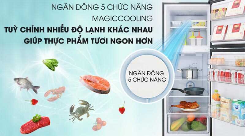 Ngăn đông 5 chế độ Magic Cooling