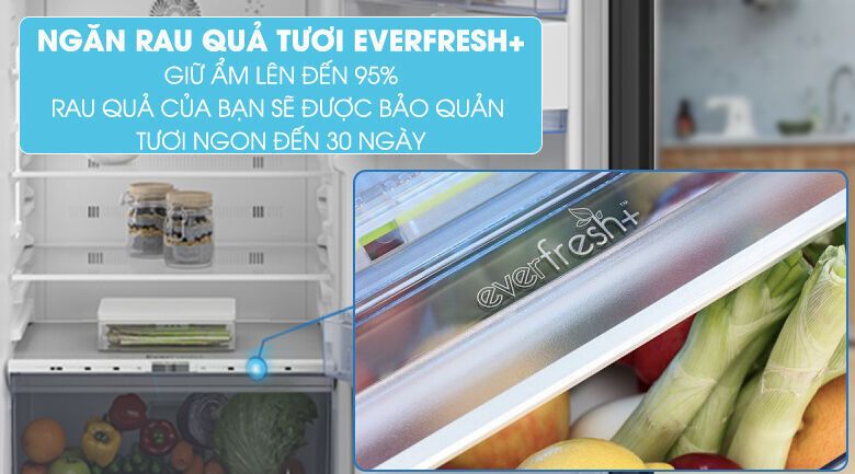 Ngăn chứa rau quả tươi Everfresh+