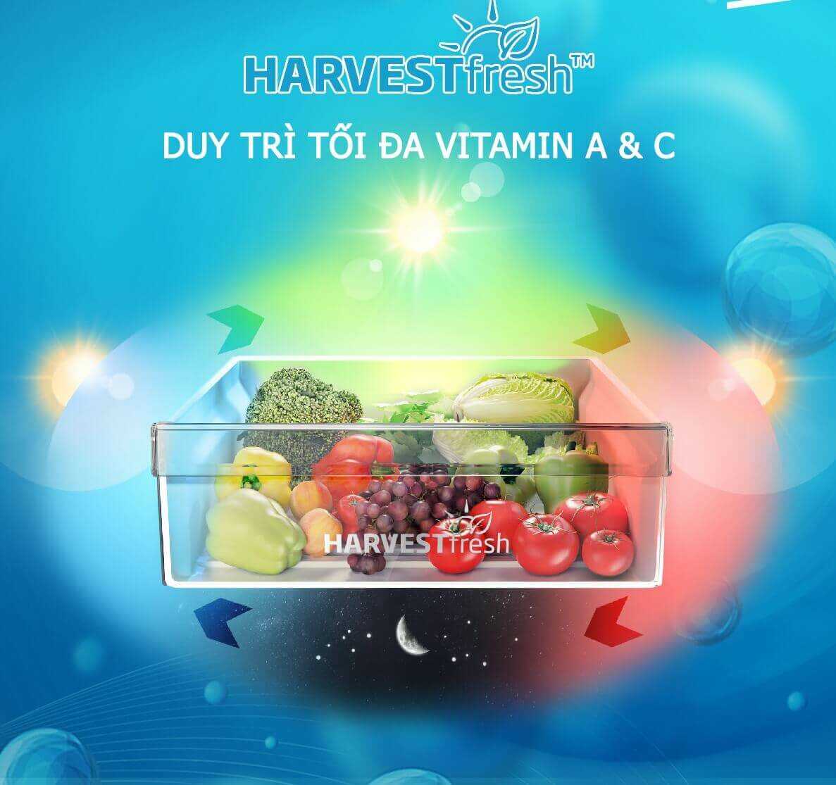 Công nghệ ánh sáng 3 màu Harvest Fresh