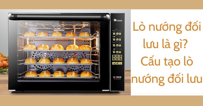Lò nướng đối lưu