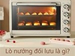 Lò nướng đối lưu là gì? Cấu tạo lò nướng đối lưu