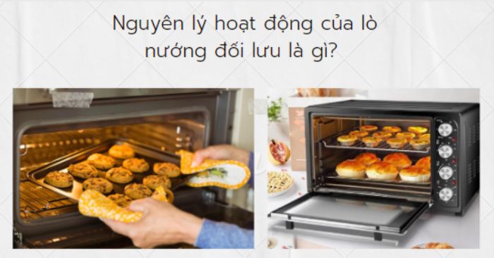 Lò nướng đối lưu