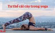 Tư thế cái cày trong yoga: Lợi ích và cách tập hiệu quả