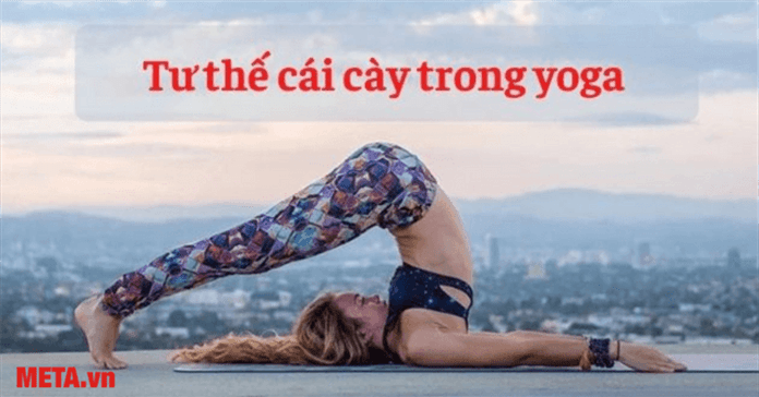 Tư thế cái cày trong yoga: Lợi ích và cách tập hiệu quả