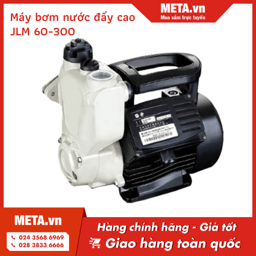 Máy bơm nước JLM 60-300