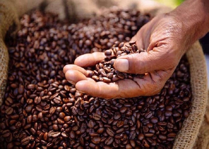 Cà phê rang mộc là gì? 