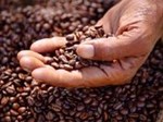 Cà phê rang mộc là gì? Cách nhận biết cà phê rang mộc chuẩn nhất