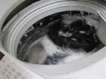 Lý do máy giặt AQUA báo lỗi E8 và cách sửa