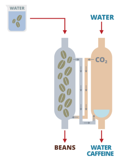 Phương pháp khử caffeine bằng CO2 siêu tới hạn của cafe decaf