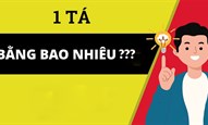 1 tá bằng bao nhiêu? Cách đổi tá sang chiếc, cái chuẩn nhất