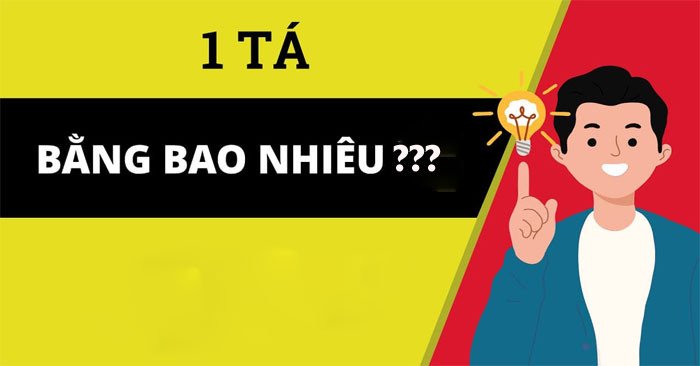 1 tá bằng bao nhiêu