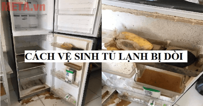 Hướng dẫn cách vệ sinh tủ lạnh bị dòi chi tiết nhất