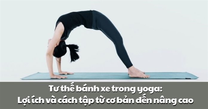 Tư thế bánh xe trong yoga: Lợi ích và cách tập từ cơ bản đến nâng cao