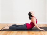 Tư thế rắn hổ mang trong yoga: Tác dụng và cách tập đúng