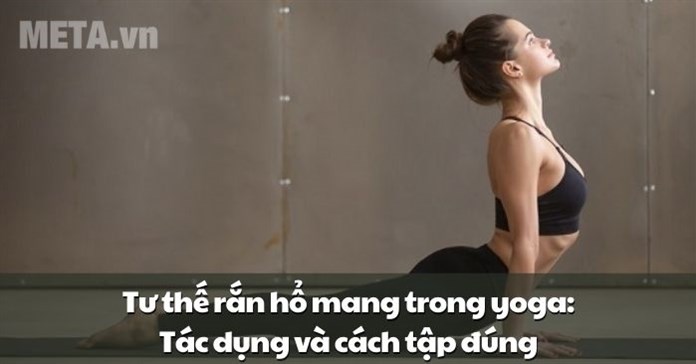 Tư thế rắn hổ mang trong yoga: Tác dụng và cách tập đúng