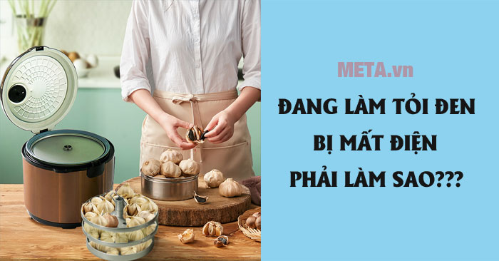 Đang làm tỏi đen bị mất điện