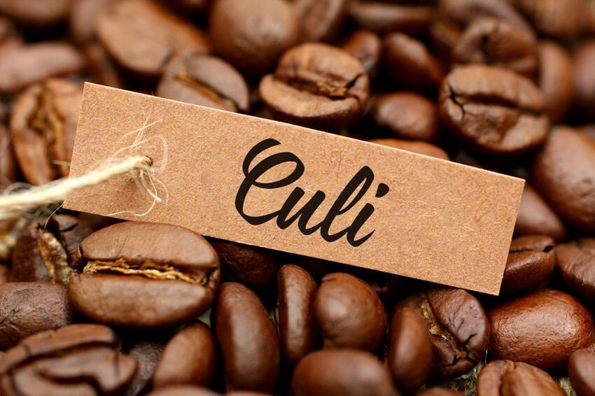 Phân loại cà phê Culi