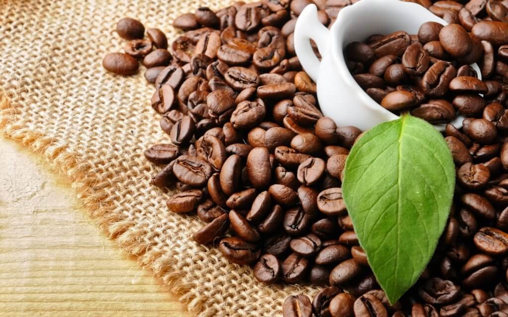 Giá cafe Culi bao nhiêu, có đắt không?