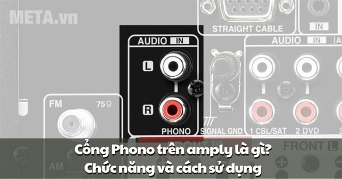 Cổng Phono trên amply là gì? Chức năng và cách sử dụng