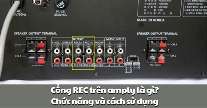 Cổng REC trên amply là gì? Chức năng và cách sử dụng