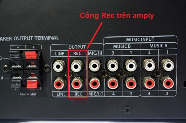 Chứng năng của cổng REC trên amply là gì?
