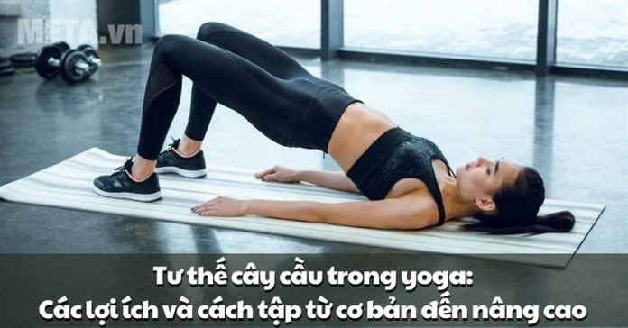 Tư thế cây cầu trong yoga: Các lợi ích và cách tập từ cơ bản đến nâng cao