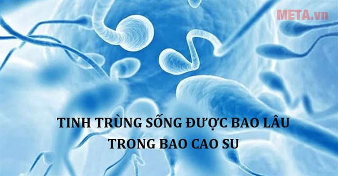 Giải đáp: Tinh trùng sống được bao lâu trong bao cao su?