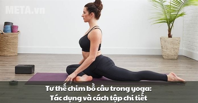 Tư thế chim bồ câu trong yoga: Tác dụng và cách tập chi tiết