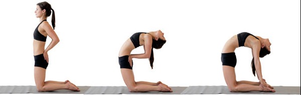 Các bước tập tư thế lạc đà trong yoga