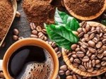 Cafe Robusta là gì? Cà phê Robusta có vị gì? Giá bao nhiêu?