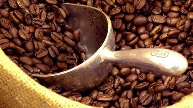 Đặc điểm của hạt cafe Robusta