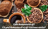 Cafe Robusta là gì? Cà phê Robusta có vị gì? Giá bao nhiêu?