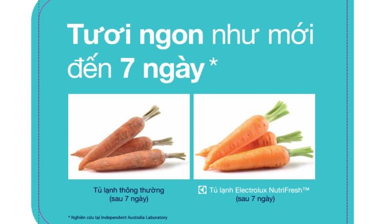 Hệ thống làm lạnh NutriFresh & FreshPlus