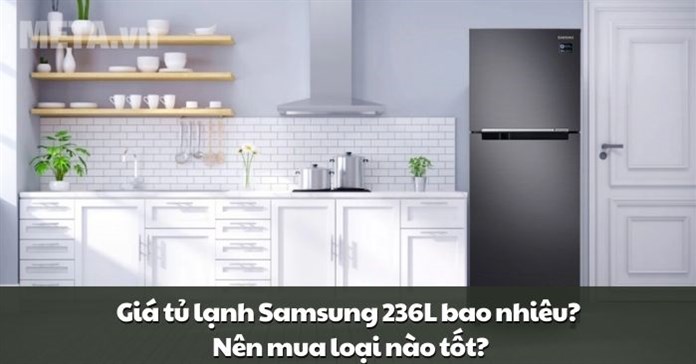 Giá tủ lạnh Samsung 236L bao nhiêu? Nên mua loại nào tốt?