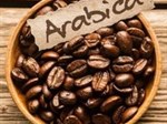 Cà phê Arabica là gì? Cafe Arabica có vị gì? Giá bao nhiêu?