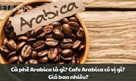 Cà phê Arabica là gì? Cafe Arabica có vị gì? Giá bao nhiêu?