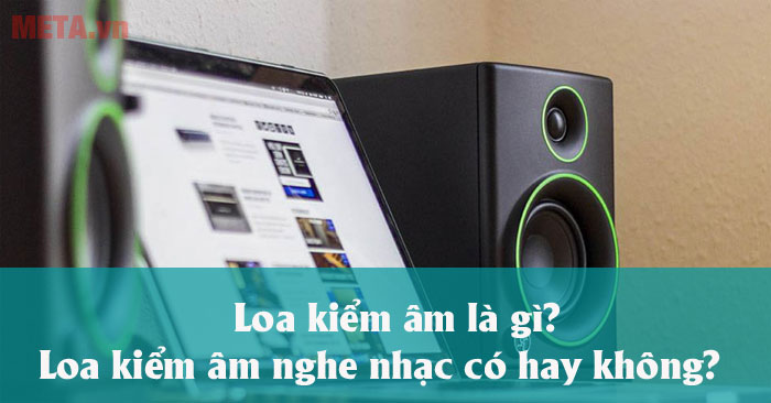 Loa kiểm âm là gì?