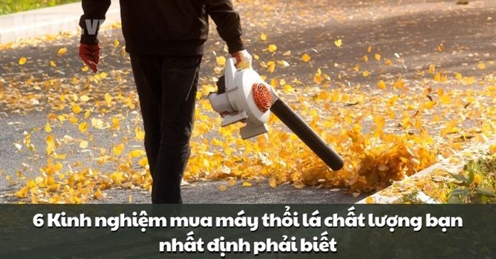 6 Kinh nghiệm mua máy thổi lá chất lượng bạn nhất định phải biết