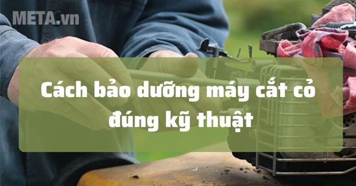 Cách bảo dưỡng máy cắt cỏ đúng cách cho máy luôn bền bỉ, chạy khỏe