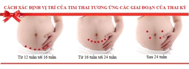 Cách xác định vị trí tim thai qua từng giai đoạn