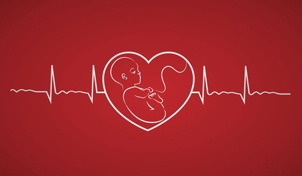 Những lưu ý khi sử dụng máy đo nhịp tim tại nhà