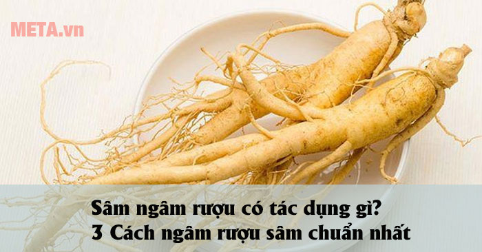 Cách ngâm rượu sâm