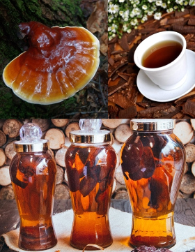 Cách ngâm rượu nấm linh chi ngon, đơn giản