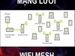 Wifi mesh là gì? Khi nào cần dùng wifi mesh?