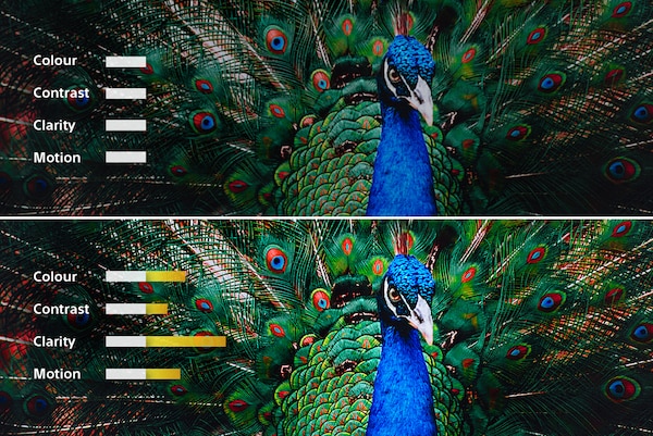 Cách hoạt động của Cognitive Processor XR